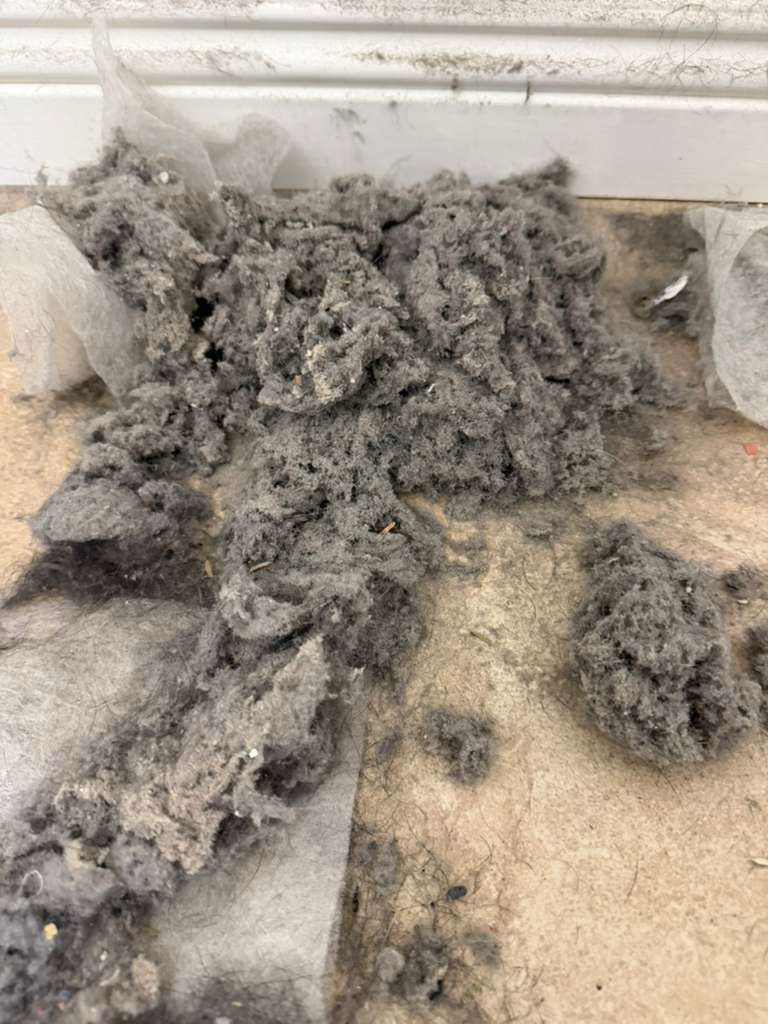 Compacted dust and debris removed from air duct during professional cleaning Las Vegas